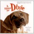 A Home For Dixie: The True Story Of A Rescued Puppy