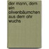 Der Mann, dem ein Olivenbäumchen aus dem Ohr wuchs