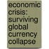 Economic Crisis: Surviving Global Currency Collapse
