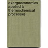 Exergoeconomics Applied to Thermochemical Processes door Borja Xicoy Almirall