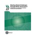 Meeting Global Challenges Through Better Governance