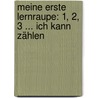 Meine erste Lernraupe: 1, 2, 3 ... Ich kann zählen by Anne Böhm