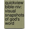 Quickview Bible-niv: Visual Snapshots Of God's Word door Zondervan Publishing