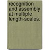 Recognition and Assembly at Multiple Length-Scales. door Brian Keith Olmsted