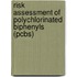 Risk Assessment Of Polychlorinated Biphenyls (pcbs)