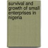 Survival and Growth of Small Enterprises in Nigeria