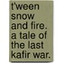T'ween Snow and Fire. A tale of the last Kafir war.