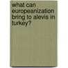 What Can Europeanization Bring to Alevis in Turkey? door Muhammet Güngör