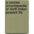 A Concise Encyclopaedia of North Indian Peasant Life