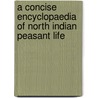 A Concise Encyclopaedia of North Indian Peasant Life door Shahid Amin
