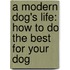 A Modern Dog's Life: How To Do The Best For Your Dog