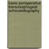 Basic Perioperative Transesophageal Echocardiography