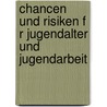Chancen Und Risiken F R Jugendalter Und Jugendarbeit by Martin Ehlert