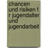 Chancen Und Risiken F R Jugendalter Und Jugendarbeit door Martin Ehlert