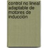Control No Lineal Adaptable de Motores de Inducción