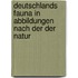 Deutschlands Fauna in Abbildungen Nach Der Der Natur