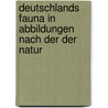 Deutschlands Fauna in Abbildungen Nach Der Der Natur door Jacob Sturm