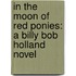 In the Moon of Red Ponies: A Billy Bob Holland Novel