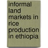 Informal Land Markets in Rice Production in Ethiopia door Fentahun Tesafa