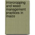 Intercropping And Weed Management Practices In Maize