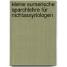 Kleine sumerische Sparchlehre für Nichtassyriologen door Delitzsch Friedrich