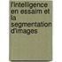 L'intelligence en essaim et la segmentation d'images