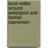 Local Walks Around Welshpool and Llanfair Caereinion door Kirsten Spencer