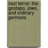 Nazi Terror: The Gestapo, Jews, And Ordinary Germans