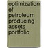 Optimization of Petroleum Producing Assets Portfolio