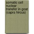 Somatic Cell Nuclear Transfer in Goat (Capra Hircus)