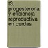 T3, Progesterona Y Eficiencia Reproductiva En Cerdas
