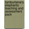 Tamburlaine's Elephants Teaching and Assessment Pack door Geraldine MacCaughrean