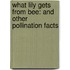 What Lily Gets from Bee: And Other Pollination Facts