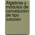 Álgebras y módulos de convolución de tipo Sobolev