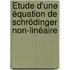 Étude d'une équation de Schrödinger non-linéaire