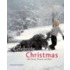 Celebrate Christmas: With Carols, Presents, and Peace