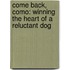 Come Back, Como: Winning The Heart Of A Reluctant Dog