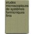 Etudes Microscopiques de Systèmes Fermioniques Finis