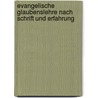 Evangelische Glaubenslehre nach Schrift und Erfahrung door Plitt Hermann