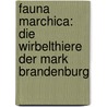 Fauna Marchica: Die Wirbelthiere Der Mark Brandenburg door Johann Heinrich Schulz
