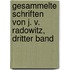 Gesammelte Schriften von J. v. Radowitz, dritter Band