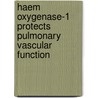 Haem Oxygenase-1 Protects Pulmonary Vascular Function by Hany El-Bassossy