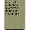 Has Trade Protection Revitalized Domestic Industries? door Daniel P. Kaplan