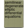 Semilinear degenerate elliptic differential equations door Nguyen Minh Tri