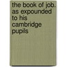 The Book of Job. as Expounded to His Cambridge Pupils door Hermann Hedwig Bernard