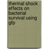 Thermal Shock Effects On Bacterial Survival Using Gfp door Vinay Kumar