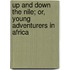 Up and Down the Nile; Or, Young Adventurers in Africa