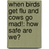 When Birds Get Flu And Cows Go Mad!: How Safe Are We?
