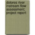 Dolores River Instream Flow Assessment; Project Report