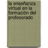 La Enseñanza Virtual en la Formación del Profesorado